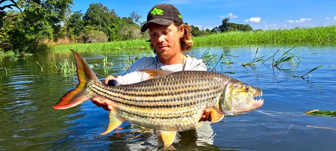 Angler holding a tiger fish above the Malagarasi River